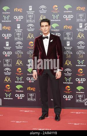 25 Janvier 2020, Malaga, Andalousie, Espagne: Jon Kortajarena Assiste Au 34ème Goya Cinema Awards 2020 - Red Carpet Au Stade Jose Maria Martin Carpena Le 26 Janvier 2020 À Malaga, Espagne (Credit Image: © Jack Abuin/Zuma Wire) Banque D'Images