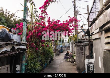 Kat Hing Back Street Dans Tai O Village, Tai O Island, Hong Kong Banque D'Images