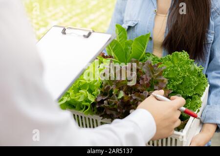 Inspection stricte des légumes biologiques après la récolte pour exportation sur le marché. Les femmes portant un panier de légumes pour vérifier la qualité des légumes f Banque D'Images