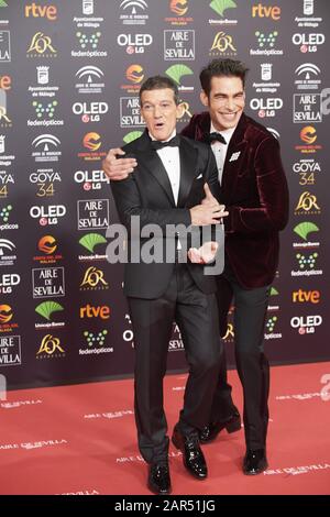 25 Janvier 2020, Malaga, Andalousie, Espagne: Antonio Banderas, Jon Kortajarena Assiste Au 34ème Prix Goya 2020 - Tapis Rouge Au Stade Jose Maria Martin Carpena Le 26 Janvier 2020 À Malaga, Espagne (Credit Image: © Jack Abuin/Zuma Wire) Banque D'Images