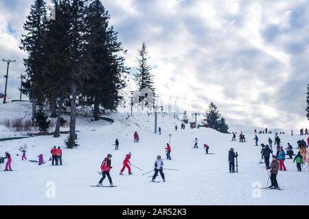 Paltinis Arena Platos, Roumanie - 11 Janvier 2020. Beaucoup de gens sur une piste de montagne à la station de ski de Paltinis Arena Platos. Paltinis Arena Platos Est Banque D'Images