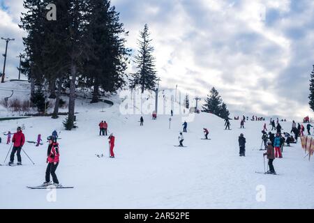 Paltinis Arena Platos, Roumanie - 11 Janvier 2020. Beaucoup de gens sur une piste de montagne à la station de ski de Paltinis Arena Platos. Paltinis Arena Platos Est Banque D'Images