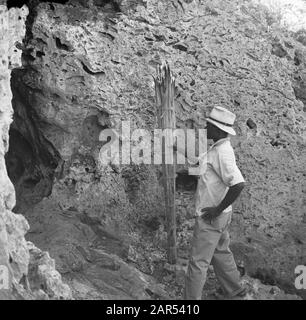 Voyage au Suriname et à la Grotte des Antilles néerlandaises près de Hato sur Curaçao. Porte-torche à l'entrée Date: 1947 lieu: Curaçao mots clés: Grottes, population autochtone Nom de l'institution: OTAN Banque D'Images