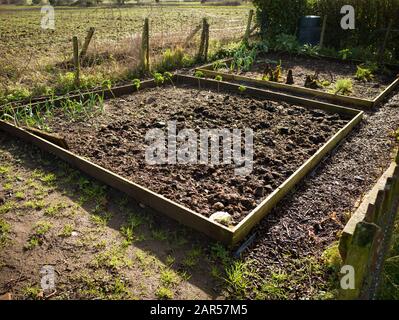 Une parcelle de légumes surélevés en forme de carré préparée et reposant en hiver en attendant de nouvelles semis au printemps Banque D'Images