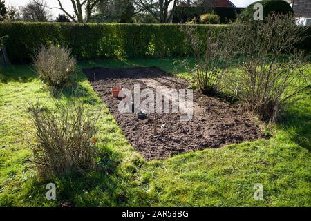 Un petit terrain de jardin préparé pour planter de nouvelles cannes de framboises au début du printemps dans un jardin anglais Banque D'Images