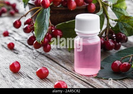 Baies de Viburnum et huile essentielle de viburnum dans une bouteille sur fond de bois. Teinture ou élixir avec viburnum. Spa de la médecine à base de plantes. Banque D'Images