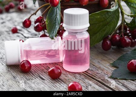 Baies de Viburnum et huile essentielle de viburnum dans une bouteille sur fond de bois. Teinture ou élixir avec viburnum. Spa de la médecine à base de plantes. Banque D'Images