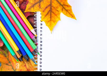 Feuilles d'automne colorées et crayons multicolores à proximité de papier blanc avec place pour le texte. Contexte avec feuilles d'automne. Copier l'espace pour l'inscription. Schoo Banque D'Images
