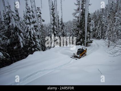 Débardeur Cat 299 D avec équipement de souffleur à neige, déblayage d'une route de montagne à distance, en haut sur Eagle View, dans le comté de Sanders, Montana. Banque D'Images