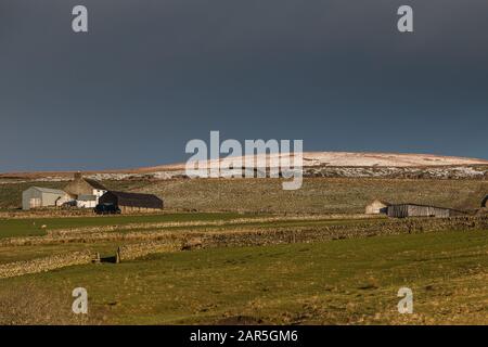 Paysage de Teesdale. Un éclairage spectaculaire, tel que le soleil d'hiver à faible angle, illumine la ferme isolée Scar End et la neige couverte est tombée derrière Banque D'Images