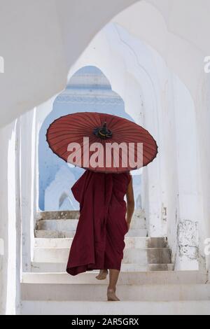 Jeune moine bouddhiste novice tenant le parasol dans l'arche à la Pagode Myatheinda (également connue sous le nom de Pagode Hsinbyume) Mingun, Myanmar (Birmanie), Asie en février Banque D'Images