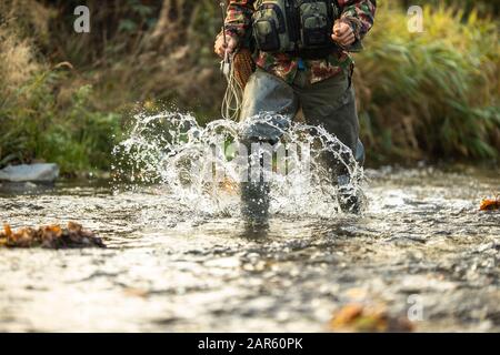 Vue rapprochée de la main d'un pêcheur de mouche tenant une jolie fontaine alors que la pêche à la mouche sur une magnifique rivière de montagne Banque D'Images