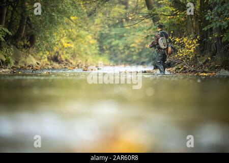 La pêche à la mouche La pêche à la mouche sur une magnifique rivière de montagne Banque D'Images