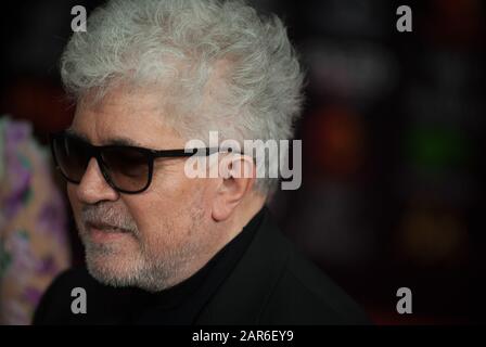 Le Directeur Pedro Almodovar assiste à la 34ème édition de la cérémonie des Prix Goya de l'Académie espagnole du film, au palais sportif Jose Maria Martin Carpena. Banque D'Images