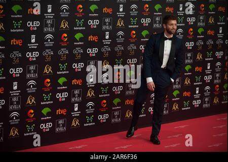La chanteuse Pablo Alboran assiste à la 34ème édition de la cérémonie des Prix Goya de l'Académie espagnole du film, au palais sportif Jose Maria Martin Carpena. Banque D'Images