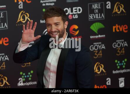 La chanteuse Pablo Alboran assiste à la 34ème édition de la cérémonie des Prix Goya de l'Académie espagnole du film, au palais sportif Jose Maria Martin Carpena. Banque D'Images