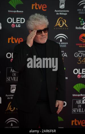 Le directeur espagnol Pedro Almodovar assiste à la 34ème édition de la cérémonie des Prix Goya de l'Académie du film espagnol, au palais sportif Jose Maria Martin Carpena. Banque D'Images