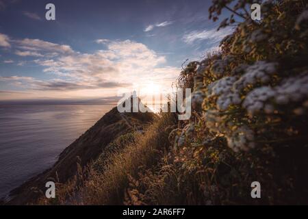 Magnifique Lever Du Soleil Au Phare De Nugget Point, Nouvelle-Zélande Banque D'Images