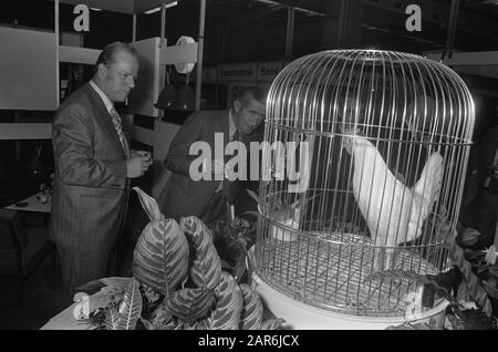 Le ministre T. Brouwer ouvre une foire commerciale pour l'agriculture de reproduction Ornithophillia-Varuva Date : le 3 octobre 1973 mots clés : FACKAGES, ministres, ouvertures Nom personnel : Brouwer, Tiemen Nom de l'établissement : Ornithophillia-Varuva Banque D'Images