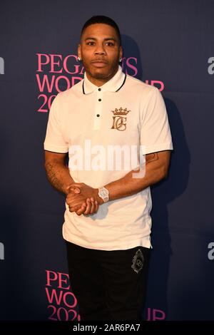 Hallandale BEACH FL - 25 JANVIER: Nelly assiste au championnat du monde de la coupe de Pegasus 2020 au village extensible LIV de David Grutman tenu au Gulfstream Park Racing and Casino le 25 janvier 2020 à Hallandale Beach, en Floride. Crédit : mpi04/MediaPunch Banque D'Images