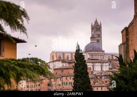 Le Duomo domine l'horizon de Sienne en Italie, un chef-d'œuvre roman-gothique. Banque D'Images