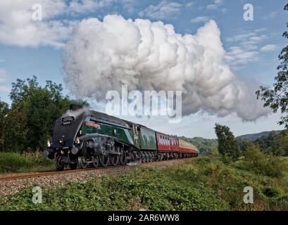 Le train à vapeur Union of South Africa tire le Torbay Express vu ici à travers la vallée d'Avon sur un matin d'été frais avec une tête de vapeur Banque D'Images