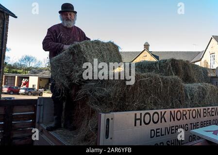Roger Hughes, un drayman de 70 ans, décharge des balles de foin pour ses chevaux Shire dans Les Crochets familiaux de la brasserie Norton, fondée en 1849, dans le village Banque D'Images