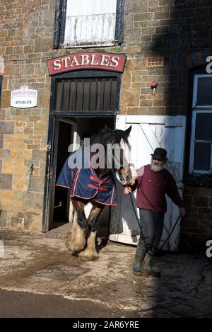Roger Hughes, un drayman de 70 ans, dirige l'un des deux chevaux Shire de l'écurie pour être exploité à un ray dans Les Crochets familiaux de la brasserie Norton Banque D'Images