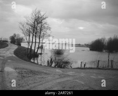 Terre inondée près de Meppel Date: 22 janvier 1959 lieu: Meppel mots clés: LANDERIJS, inondée Banque D'Images