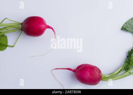 Deux radis rouges mûrs. Banque D'Images