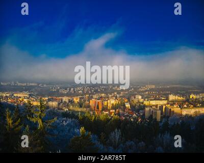 Vue aérienne sur la forêt de pins le matin d'hiver froid avec lumière du soleil tôt chaude ville européenne Banque D'Images