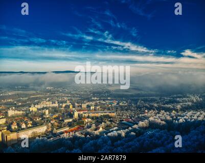 Vue aérienne sur la forêt de pins le matin d'hiver froid avec lumière du soleil tôt chaude ville européenne Banque D'Images