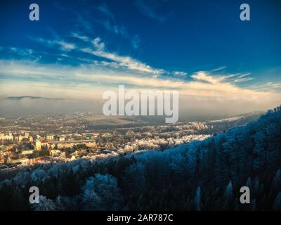 Vue aérienne sur la forêt de pins le matin d'hiver froid avec lumière du soleil tôt chaude ville européenne Banque D'Images