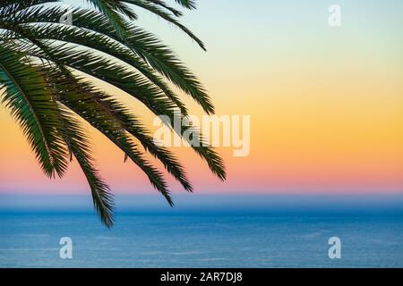 la silhouette de palmier contre le lever du soleil au-dessus de l'océan Banque D'Images