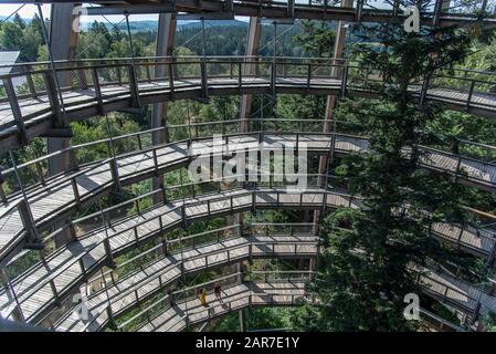 Tour D'Arbres, Promenade En Haut De L'Arbre, Parc National De La Forêt Bavaroise, Neuschönau, Bavière, Allemagne Baumturm Im Nationalparkzentrum Lusen Im Bayerischen Wald. Banque D'Images