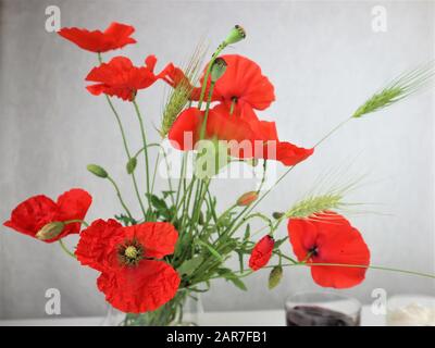 Coquelicots dans le vase contre dark grunge background Banque D'Images