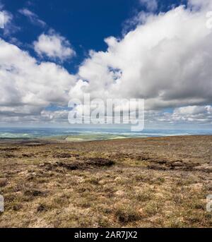 Vue depuis la montagne Wolftrap, montagnes de Slieve Bloom, County Offaly, Irlande, avec abondante floraison bog cotton (Eriophorum angustifolium) en mai Banque D'Images