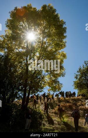 Un groupe de randonneurs marchant sur les pentes de la montagne Konjuh, le samedi 29 septembre 2007. Près de la ville de Kladanj, Bosnie-Herzégovine. Banque D'Images