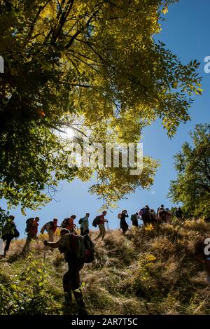 Un groupe de randonneurs marchant sur les pentes de la montagne Konjuh, le samedi 29 septembre 2007. Près de la ville de Kladanj, Bosnie-Herzégovine. Banque D'Images