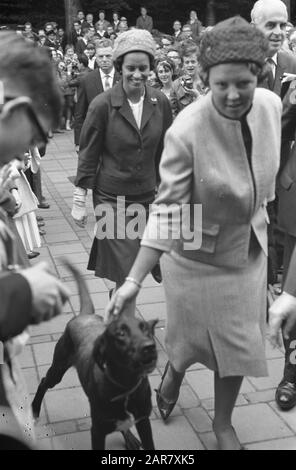 Princesse Beatrix visite le festival des jeunes Velp, princesse chien de strobage Date: 28 août 1962 lieu: Gueldre, Velp mots clés: Festivals, chiens, jeunes, maison royale, princesses Nom personnel: Beatrix, princesse Banque D'Images