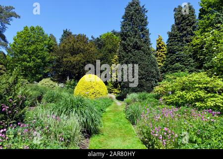 Sentier de bobinage d'herbe à travers des fleurs roses, des plantes ornementales, des conifères et des arbres feuillus dans un charmant jardin anglais . Banque D'Images