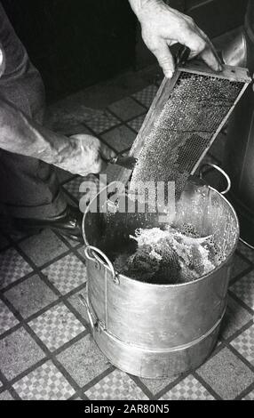 Années 1950, historique, faire de l'hydromel, un homme raclant du miel cru cristallisé d'un plateau dans un récipient en métal, pour produire de l'hydromel, une ancienne boisson alcoolisée, souvent brassée maison, également connue sous le nom de vin de miel, Angleterre, Royaume-Uni. Banque D'Images