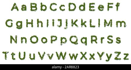 Lettres de l'alphabet anglais faites avec de l'herbe rendue pour écrire votre propre texte. Taille 10000 pixels Banque D'Images