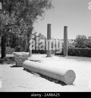 Israël 1964-1965: Ashkelon, ruines archéologiques sur les collines de Shephelah Annotation: Ashkelon est une station balnéaire dans le sud-ouest d'Israël, située sur la Méditerranée Date: 1964 lieu: Ashkelon, Israël mots clés: Paysages, panoramas, piliers, ruines Banque D'Images