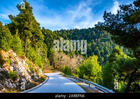 Les forêts denses de l'île de Skopelos couvertes de pins. L''île de Skopelos est l''une des plus vertes d''Europe, située à Sporades, en mer Égée, en Grèce Banque D'Images