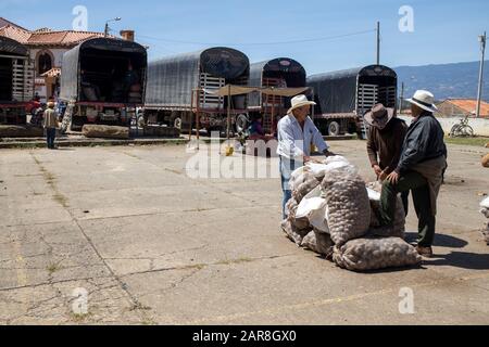 Villa de Leyva, groupe d'hommes parlent de leurs sacs de produits déchargés des camions derrière, chapeaux pour les protéger du soleil à l'altitude. Banque D'Images