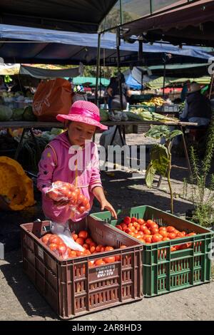 Villa de Leyva, jour de marché, cette jeune fille travaille dans l'un des étals préparant les légumes à vendre. Banque D'Images