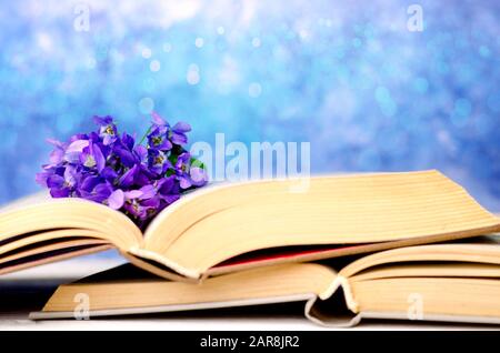 Arrière-plan romantique vintage avec des fleurs violettes sauvages et de vieux livres ouverts sur un beau fond bokeh et espace de copie pour le texte de salutation. Banque D'Images