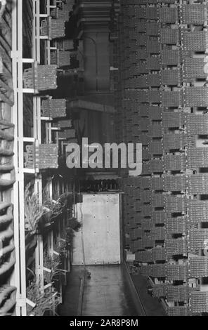 Échange de téléphone (intérieur du bâtiment de télécommunications à Amsterdam) Date : 14 février 1969 lieu : Amsterdam, Noord-Holland mots clés : intérieur Banque D'Images