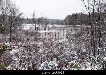 Une scène hivernale enneigée de la rivière Sacandaga près de Speculator, NY USA dans les montagnes Adirondack. Banque D'Images